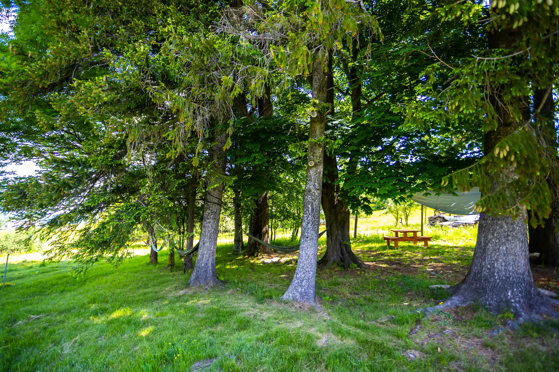 Tent Sites