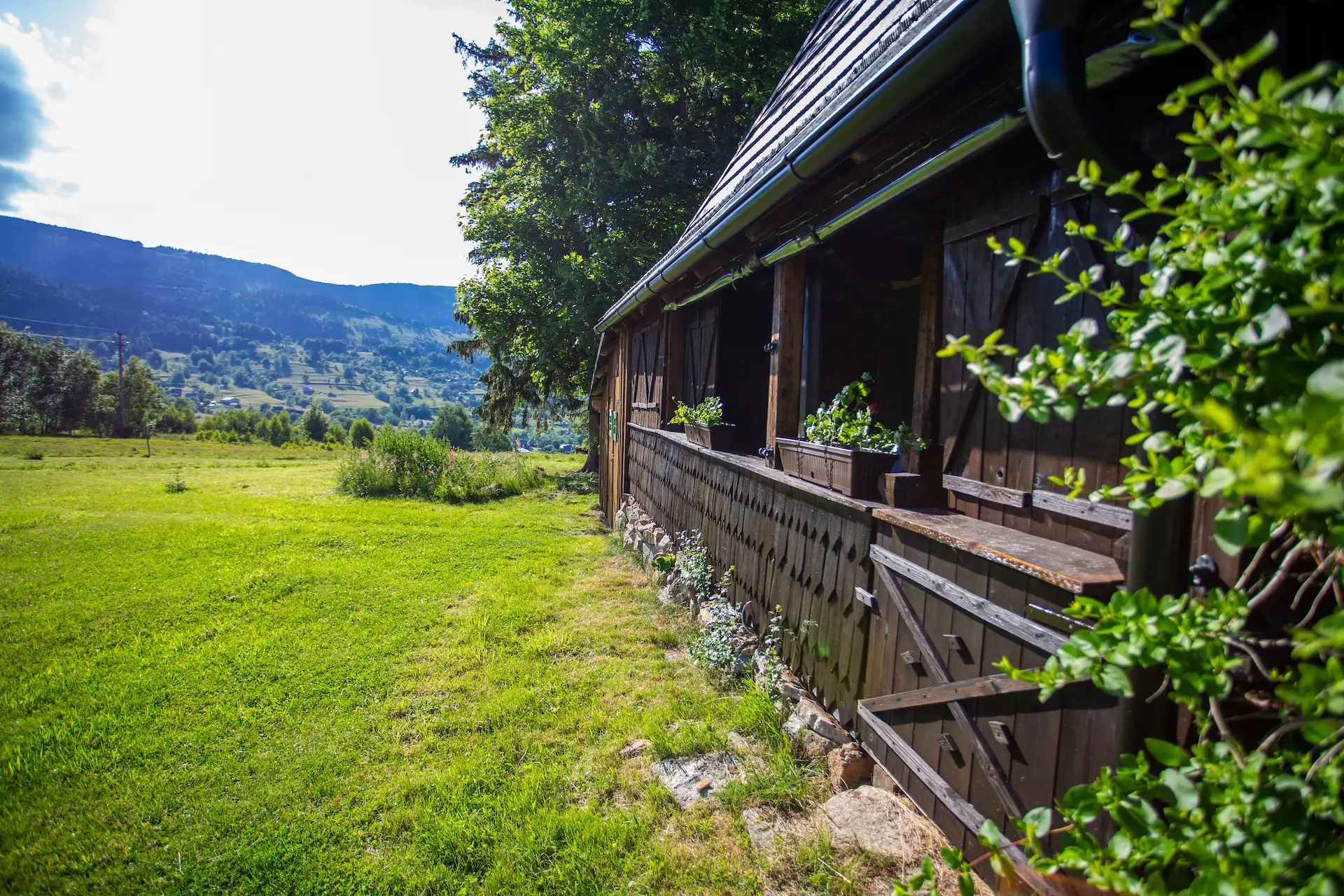 Traditional House Garden